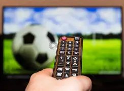 世界橄榄球,赛场见证香,港风采,世界杯直播,2026世界杯,赛程直播,赛事频道,直播平台