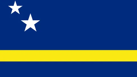 中国外交部强调加速执行上合组织主席国职责