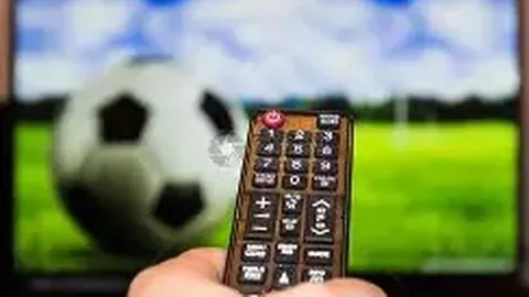 世界橄榄球赛场见证香港风采